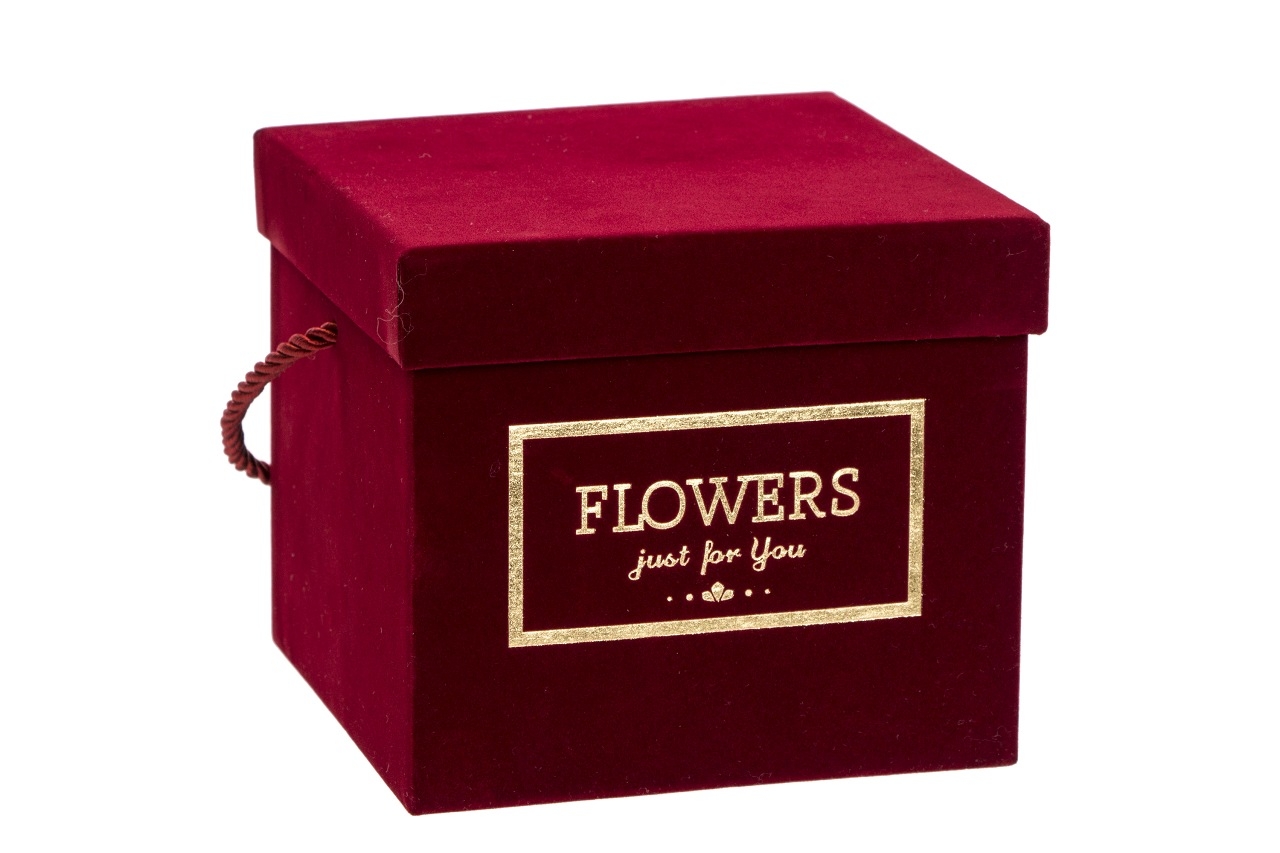 box